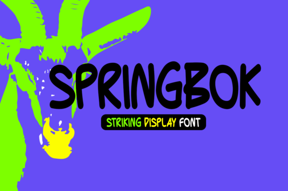 Springbok Font Review
